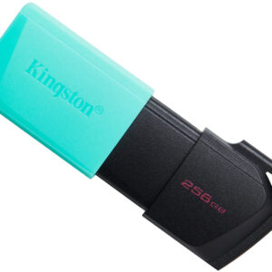 USB-A 3.2 FlashDrive Kingston DataTraveler Exodia M, 256Gb DTXM/256GB